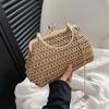 Bolso tejido de moda para mujer, bolso de concha portátil personalizado, nuevo 2023, cadena con textura de clip de paja, bolso para mujer