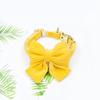 Set de Collar y Correa para Perro Cuerda de Tracción Cadena para Pasear Perros Perro Pequeño Popular en Internet Teddy Grande Cuello Golden Retriever