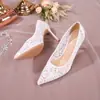 Zapatos de Tacón Alto de Aguja con Punta Puntiaguda de Malla de Encaje Zapatos de Novia para Dama de Honor Zapatos para Vestido de Boda Fábrica Venta al por Mayor Zapatos Cómodos Que No Cansan Tus Pies