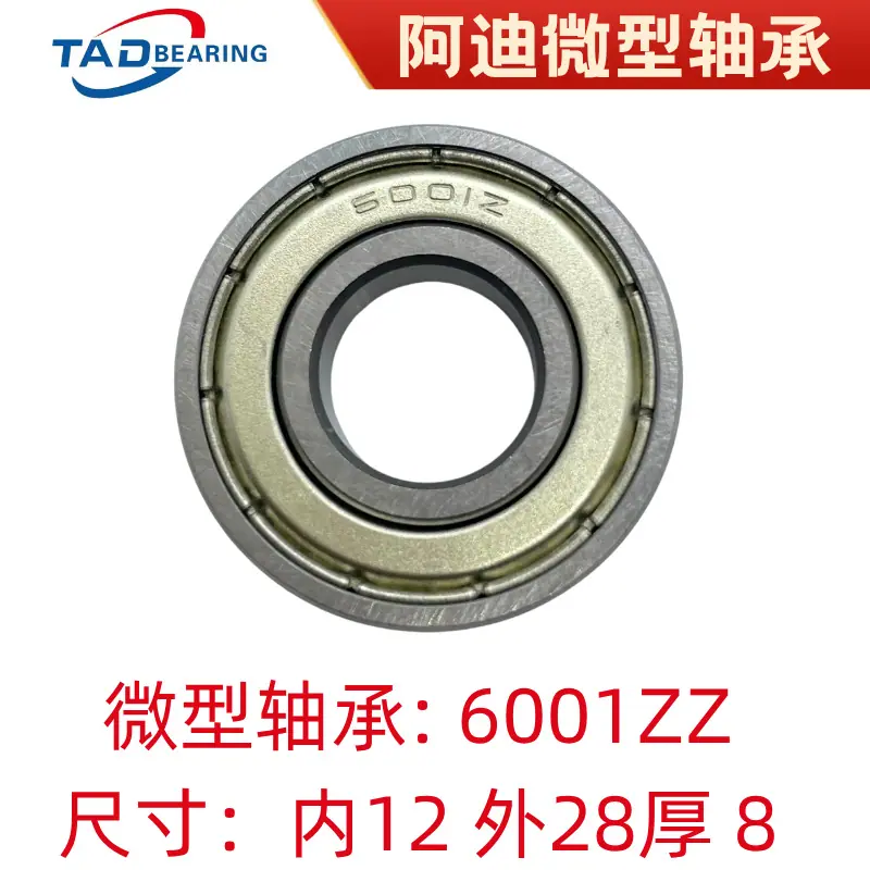 6001ZZ1