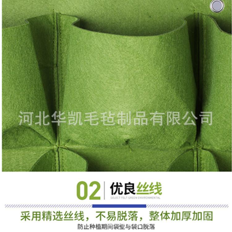 植物8