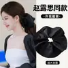 2026 Nuevo Modelo Estilo Igual al de Zhao Lusi "Let Me Shine" Pinza Triangular para el Cabello para Mujer, Pinza de Tiburón para Cabello Grueso, Sensación de Alta Gama