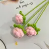 Rosas Bolha Populares Feitas à Mão de Tricô Transfronteiriças para Decoração de Casa, Galhos de Rosas de Lã Tricotados para o Dia dos Namorados
