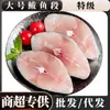 Filetes de Caballa Extra Grandes, 450g, 2-3 Piezas, Sección Media de Caballa de Aguas Profundas, Venta al por Mayor y Distribución Comercial