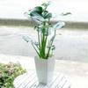 Monstera Deliciosa Grande, Planta En Maceta de Hoja Grande, Planta Acuática Hidropónica Verde, Planta Ornamental de Interior para Sala de Estar