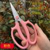 Fabricante Venta al por Mayor Tijeras Florales, Tijeras para Arreglos Florales, Tijeras de Podar, Tijeras para Ramas de Flores, Tijeras de Podar, Tijeras de Entrenamiento para Floristas para Flores