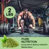 Comercio Exterior Venta Directa Transfronteriza Polvo de Proteína Sabor Matcha Proteína de Suero Fábrica de Potencia Stock 2.2 Libras