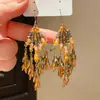 Estilo Étnico Retrô Gancho de Orelha com Franja Colorida de Cristais Brilhantes Brincos de Nicho Exagerados Europeus e Americanos Brincos Elegantes e de Alta Qualidade