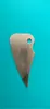 Fabricante de máquina aplicadora de pegamento dental, hoja raspadora de cobre, soporte para raspador de boquilla, soporte para cuchillo, cuchillo dental