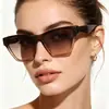 Óculos de Sol Gatinho Estilo Transfronteiriço Raine 2026 para Mulheres, Óculos de Sol para Protetor Solar ao Ar Livre, Fashion para o Trajeto Diário