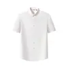 Camisa solta de manga curta plus size para homens, leve, para o verão, business casual, não amassa, cor sólida, com colarinho, top tipo camiseta