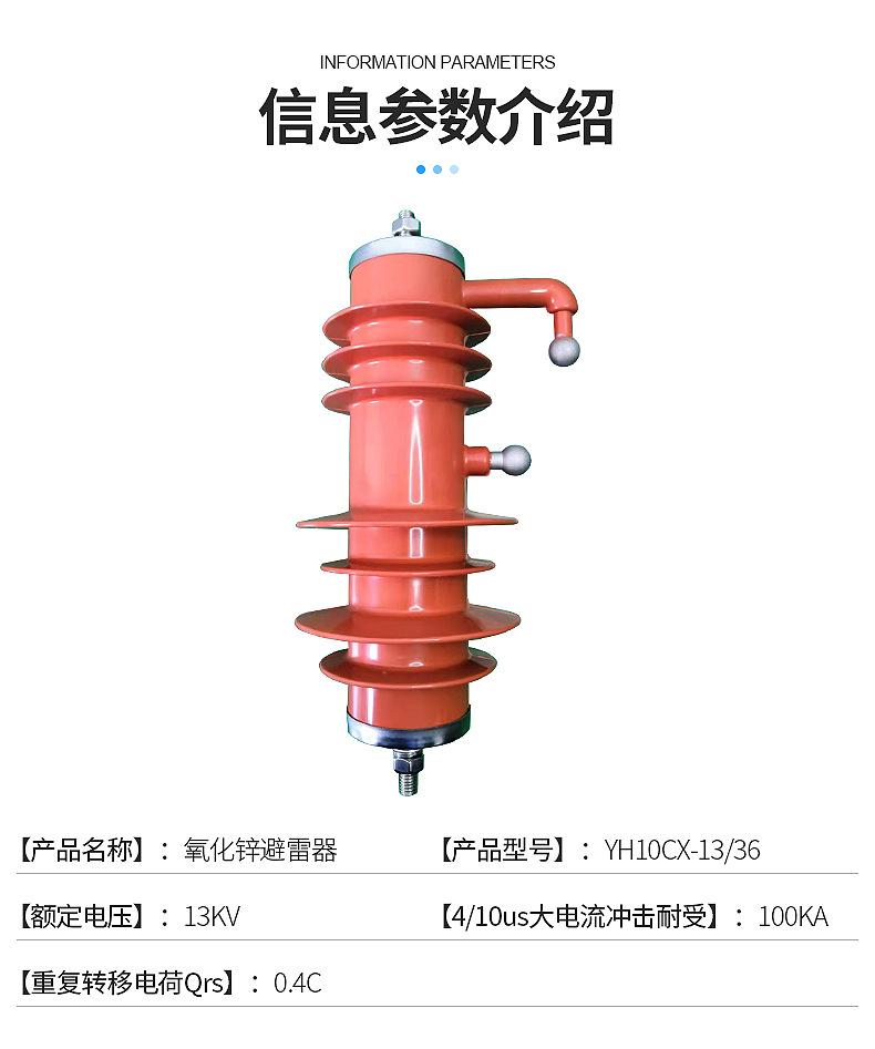 YH10CX-13-36避雷器_05.jpg
