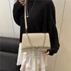 Bolsos de Nicho Franceses de Alta Gama, Bolso Cruzado de Cadena de Moda Primavera, Bolso de Hombro Único con Textura Retro