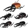 Modelo de insecto de simulación transfronterizo escarabajo sólido unicornio insecto hada animal pequeño modelo para niños juguetes al por mayor