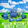 Bomba de Vacío de Anillo de Agua 2Bv Shandong Dongpump Bomba de Vacío con Impulsor de Hierro Bomba de Vacío de Acero Inoxidable Bomba de Vacío Antideflagrante 2Bv