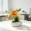 Novo Vaso Branco Pequeno e Raso para Aloe Vera Três Phalaenopsis Pequeno Bonsai Decoração de Casa e Hotel Ornamento de Bonsai Phalaenopsis