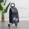 Carrito de Compras de Acero Inoxidable, Carrito Trepador de Escaleras, Carrito Grande Plegable para el Hogar para Personas Mayores, Carrito de Arrastre Manual