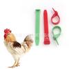 Anillo de Pata de Pollo Atadura Anillo de Pata Ajustable de Plástico Etiqueta para Pato y Ganso Atadura de 100 mm Juego de Fábrica de Anillos de Pata de Pollo