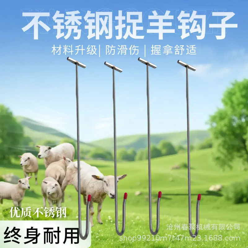 微信图片_202507030950301.jpg