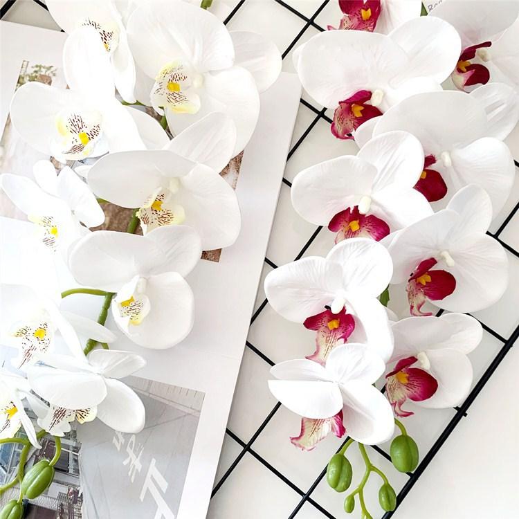 QQ图片20201119122712