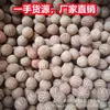 Jade Branco Raiz de Bodhi Semente Original Semente Grande de Bodhi Fruto de Ginkgo Escultura Diâmetro 11-30mm Raiz de Bodhi Fruta Grande Matéria-Prima