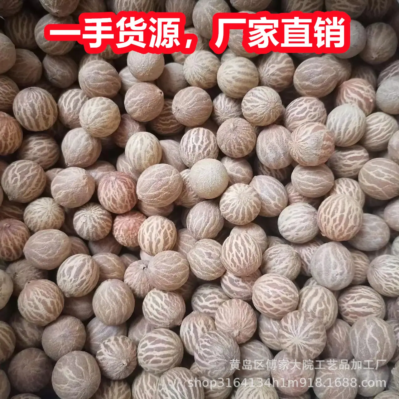 菩提根08.jpg