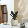 Ins Jiuli Escandinavo Planta Verde Fragante en Maceta Florales Oficina Sala de Estar Escritorio Interior Adornos Purificar el Aire y Eliminar Formaldehído