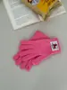 Luvas de Ciclismo Fofas com Forro de Lã à Prova de Vento e Frio para Outono e Inverno, Luvas de Pelúcia com Dedos para Estudantes, Luvas de Imitação de Caxemira para Meninas