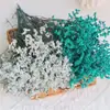 Ramo Eterno de Yunnan Hierba de Cristal Flores Preservadas de Colores Accesorios Florales Decoración del Hogar DIY Flores Secas Accesorios para Fotografía