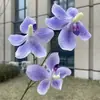 3 Cabeças de Novas Orquídeas Phalaenopsis Flores Artificiais Decoração de Casamento Phalaenopsis Artificiais Atacado