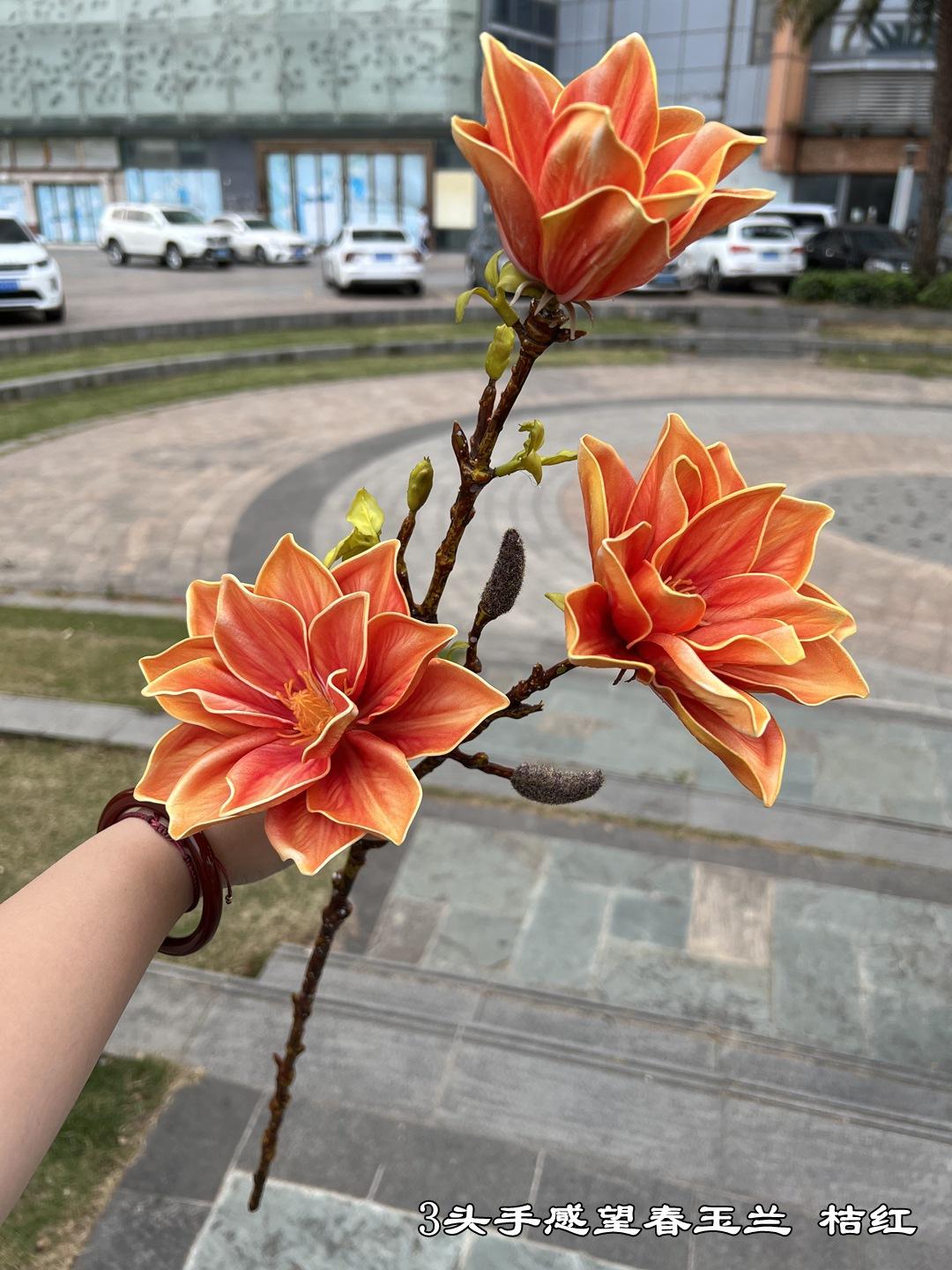 微信图片_20230319093054.jpg
