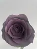 Pintura de flores arte floral absorción de color flor de color a base de agua auto-pintura secado rápido color niebla flor de color spray venta al por mayor