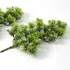 Pino Negro Falso, Pino Cola de Caballo, Abeto, Pino de Cinco Agujas, Arborvitae, Ramas de Pino, Acículas de Pino, Hojas Verdes de Tuya Atrezzo