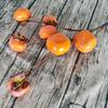 Venta al por mayor Fang Zhen 7 Fruta Caqui Ramas de Fruta Ramas Largas Flores Decorativas Muebles para el Hogar Ramas de Fruta Caqui Ruyi