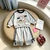 Nueva colección de primavera: conjunto de dos piezas moderno y deportivo para niñas, que incluye una sudadera infantil, perfecto para primavera y otoño, ropa infantil elegante para exportación