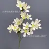 Nueva flor artificial de champán para el hogar, sala de estar, mesa de centro, exhibición de flores, boda, fondo de boda, decoración de pared, flor falsa