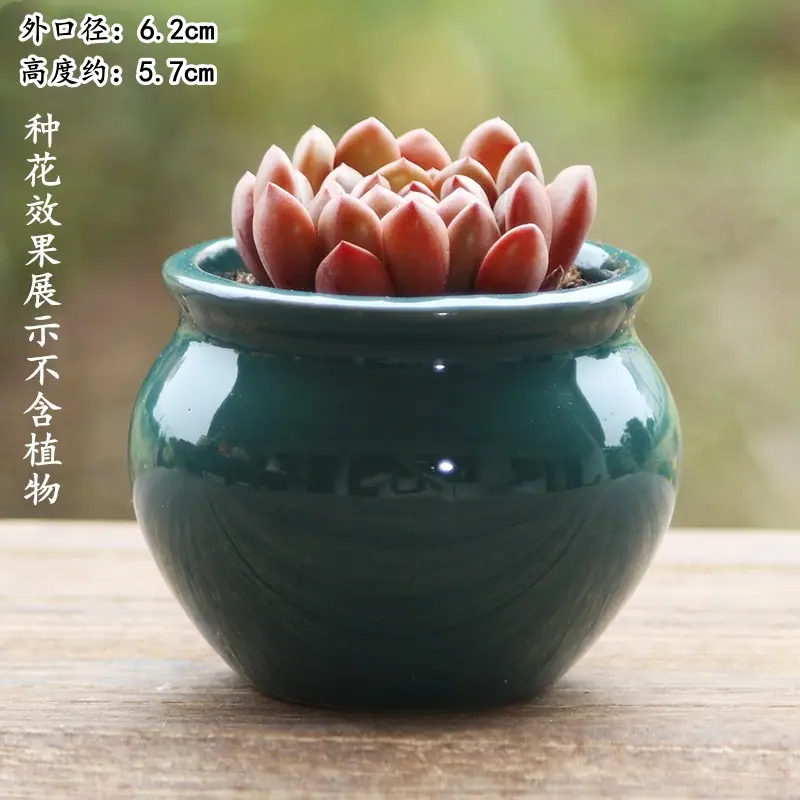 6_副本