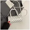 2025 Nova Bolsa de Mão de Verão da Coreia do Sul Bolsa Pequena Bolsa Feminina de Alta Qualidade Bolinhas de Poá Nicho Bolsa Almofada Bolsa de Ombro Transversal