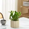 Estilo Ins Escandinavo Decoración de Interiores de Oficina Rinoceronte Blanco Lirio de Calas Sala de Estar Planta Verde Planta en Maceta Purifica el Aire y Elimina el Formaldehído