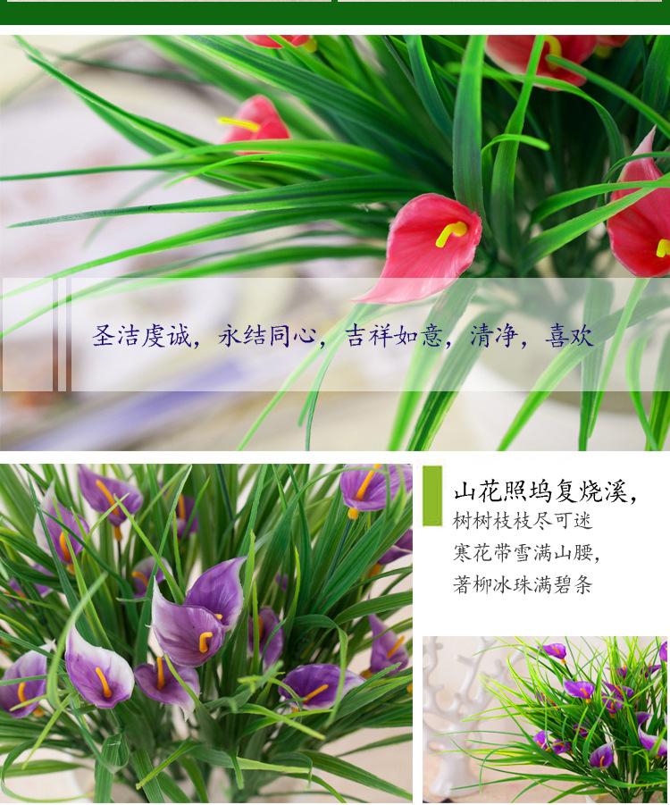 详情7.jpg