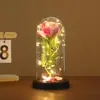 Nuevo regalo de vacaciones transfronterizo: adorno de flor eterna, lámpara decorativa de escritorio creativa de flor de rosa en cúpula de cristal, venta al por mayor