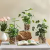 Planta verde creativa trébol de cuatro hojas planta artificial en maceta decoración del hogar escritorio de oficina planta artificial llamativa bonsái