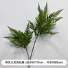Arte Floral para Bodas Hojas Artificiales Verdes Plantas Patas de Pato Tropicales Madera Hojas de Magnolia Paisajismo Fotografía de Boda Posando Plantas Verdes