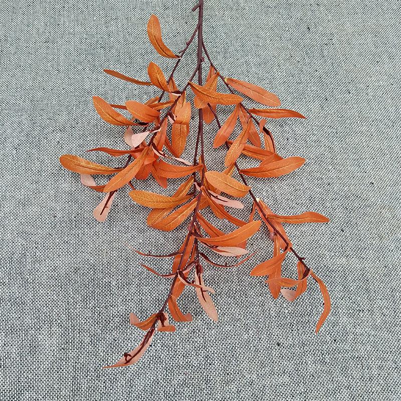 橘红