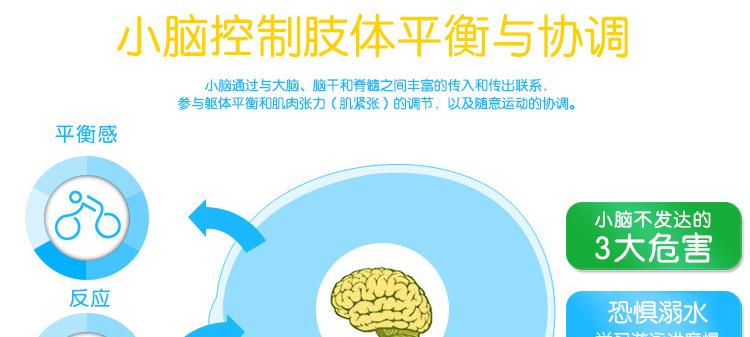 65游泳棒详情页4