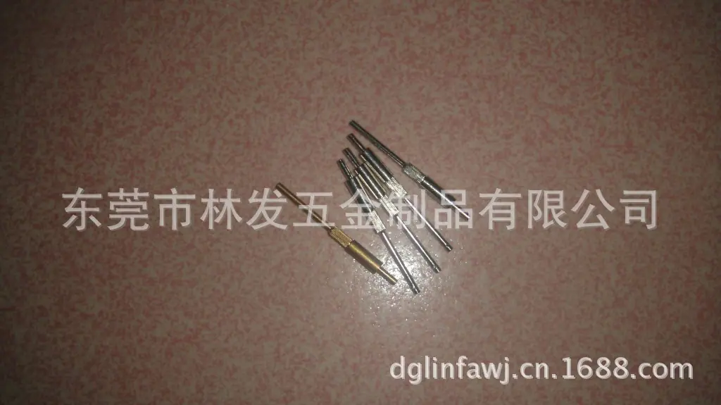 DSC01610