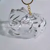 Pingente Porta-Objetos Cabeça de Gato Grande Fofo, Caixa Criativa Transparente para Armazenar Pelos de Gato, Pingente Porta-Objetos de Gato Extra Grande