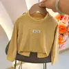Camiseta Básica Listrada de Manga Longa Infantil para Primavera e Outono, Top Estiloso para Bebês e Crianças Pequenas, Meninos e Meninas, Pode Ser Usada como Camada Interna ou Externa, Estilo Coreano