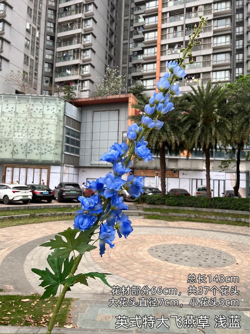 英式特大飞燕草 浅蓝.jpg