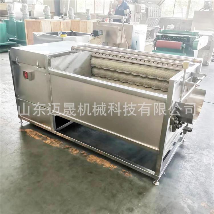 1200型毛辊清洗机 (2)
